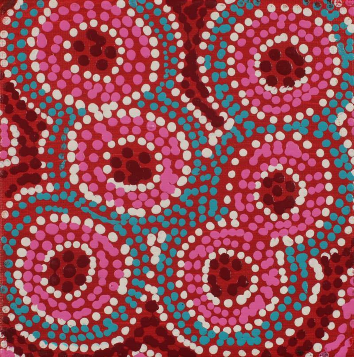 Wanakiji Jukurrpa (Bush Tomato Dreaming)