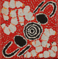 Ngarlkirdi Jukurrpa (Witchetty Grub Dreaming)