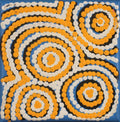 Pikilyi Jukurrpa (Vaughan Springs Dreaming)