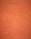 Mina Mina Jukurrpa (Mina Mina Dreaming)