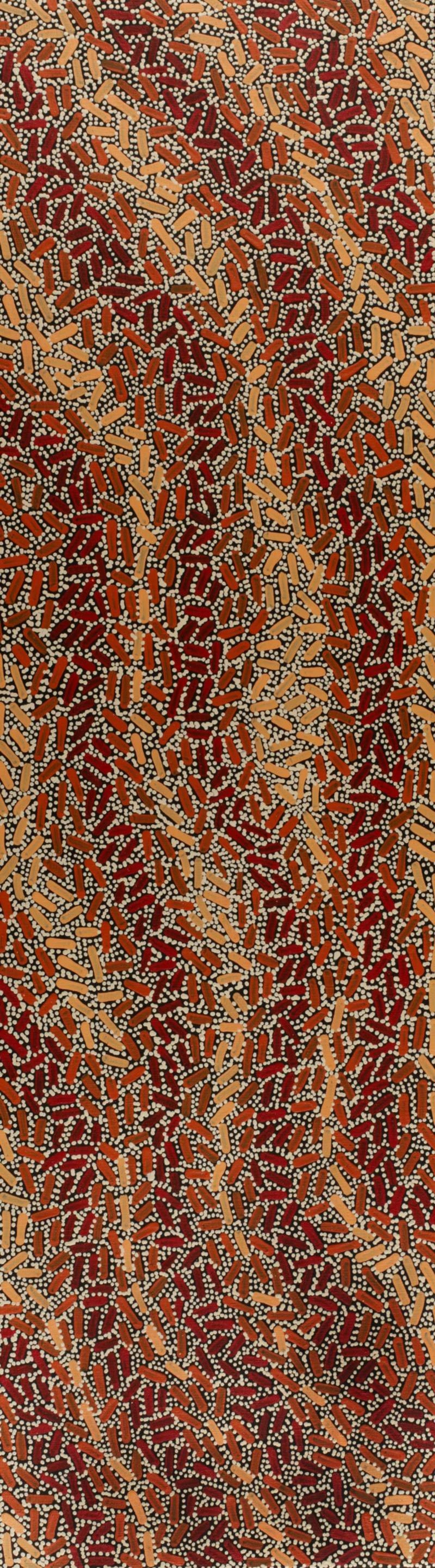 Warlukurlangu Jukurrpa (Fire country Dreaming)
