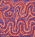 Warlukurlangu Jukurrpa (Fire country Dreaming)