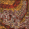 Ngapa Jukurrpa (Water Dreaming)  -  Puyurru