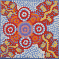 Jajirrdi Jukurrpa (Western Quoll)