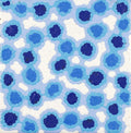 Mina Mina Jukurrpa (Mina Mina Dreaming)
