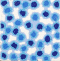 Mina Mina Jukurrpa (Mina Mina Dreaming)