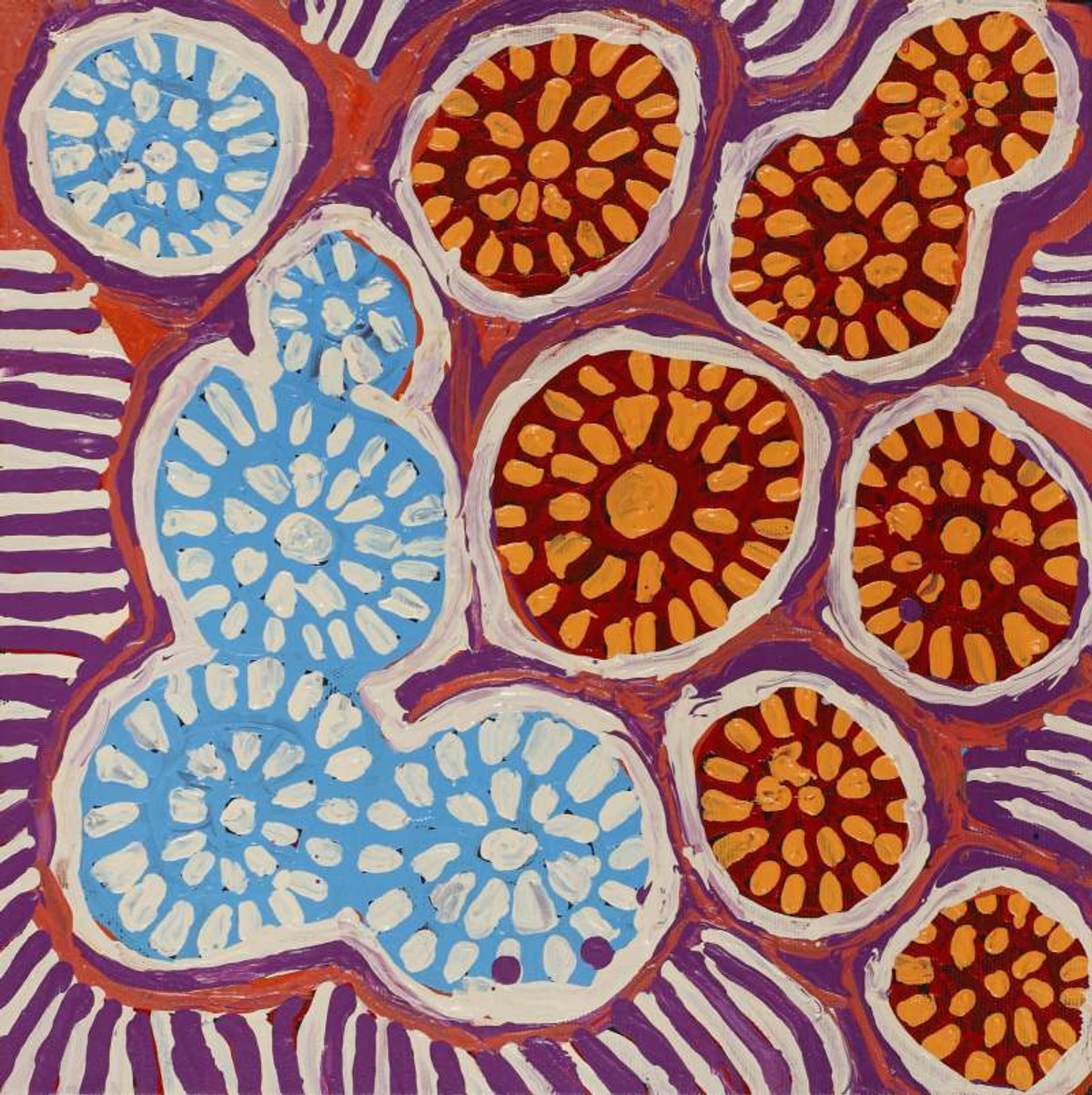 Warlukurlangu Jukurrpa (Fire country Dreaming)