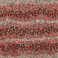 Warlukurlangu Jukurrpa (Fire country Dreaming)