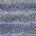 Warlukurlangu Jukurrpa (Fire country Dreaming)