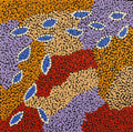 Yuparli Jukurrpa (Bush Banana Dreaming)