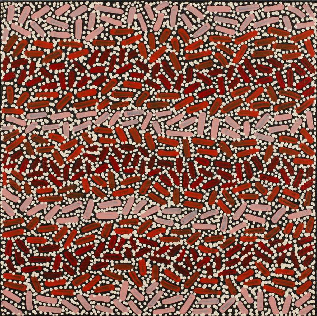 Warlukurlangu Jukurrpa (Fire country Dreaming)