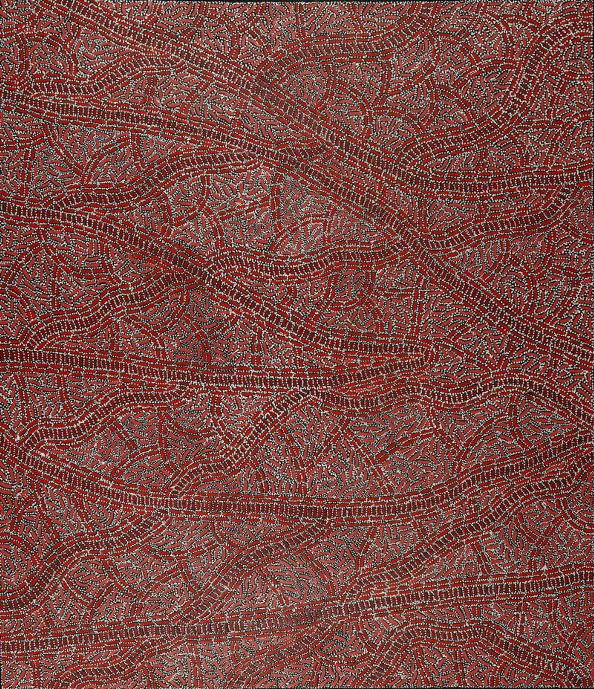 Warlukurlangu Jukurrpa (Fire country Dreaming)