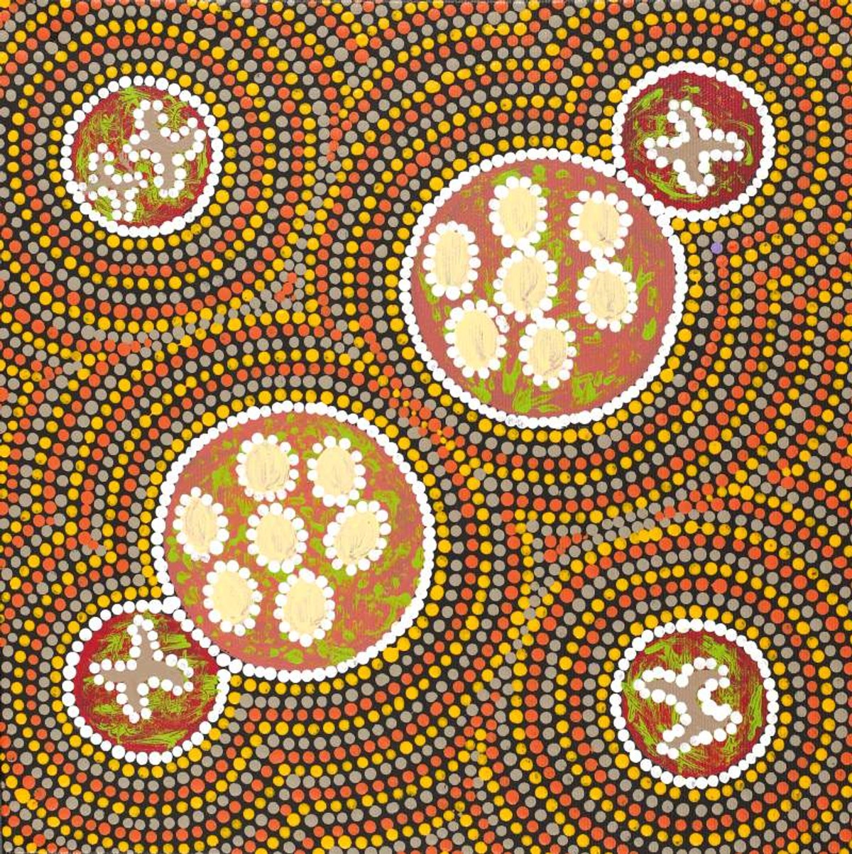 Ngatijirri Jukurrpa (Budgerigar Dreaming)