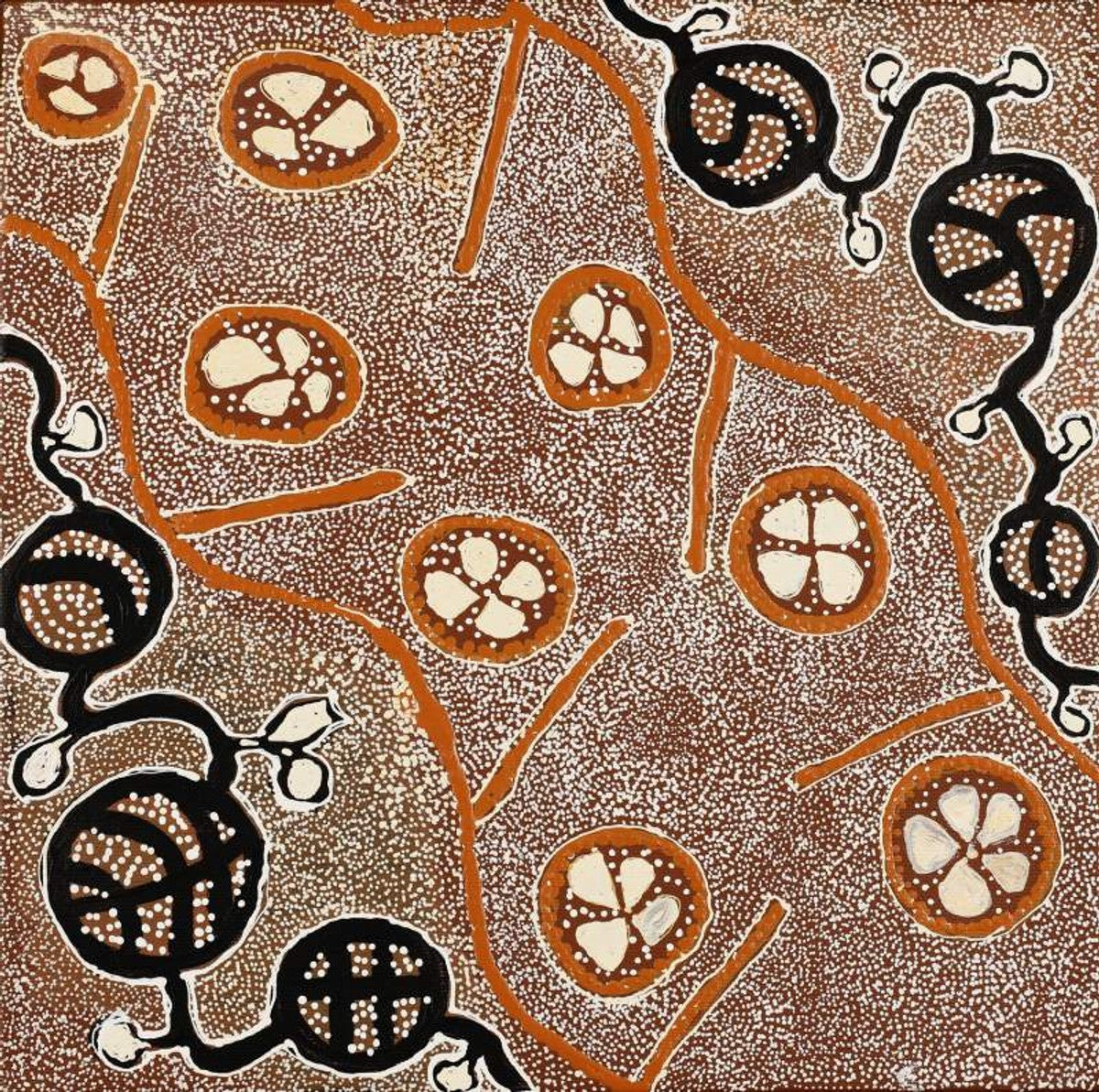 Wanakiji Jukurrpa (Bush Tomato Dreaming)