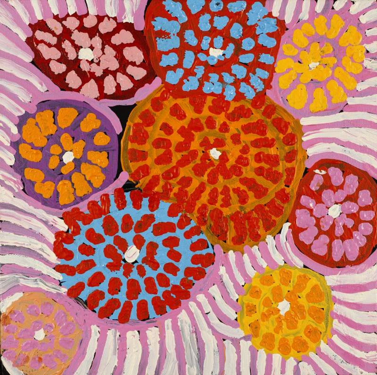Warlukurlangu Jukurrpa (Fire country Dreaming)