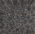 Pikilyi Jukurrpa (Vaughan Springs Dreaming)