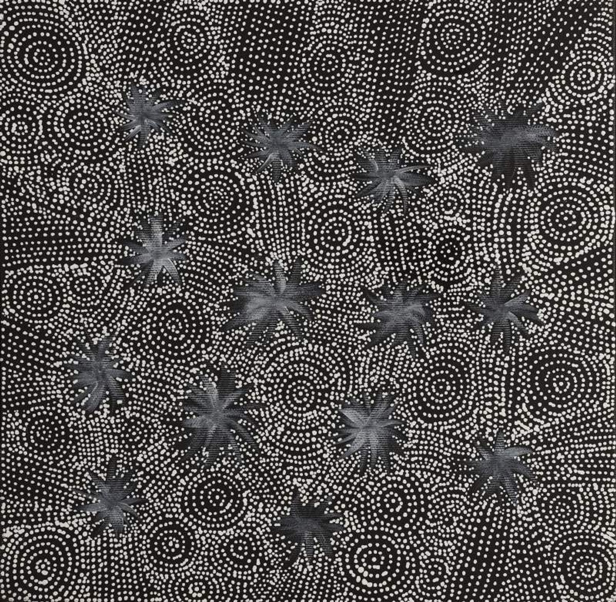Pikilyi Jukurrpa (Vaughan Springs Dreaming)