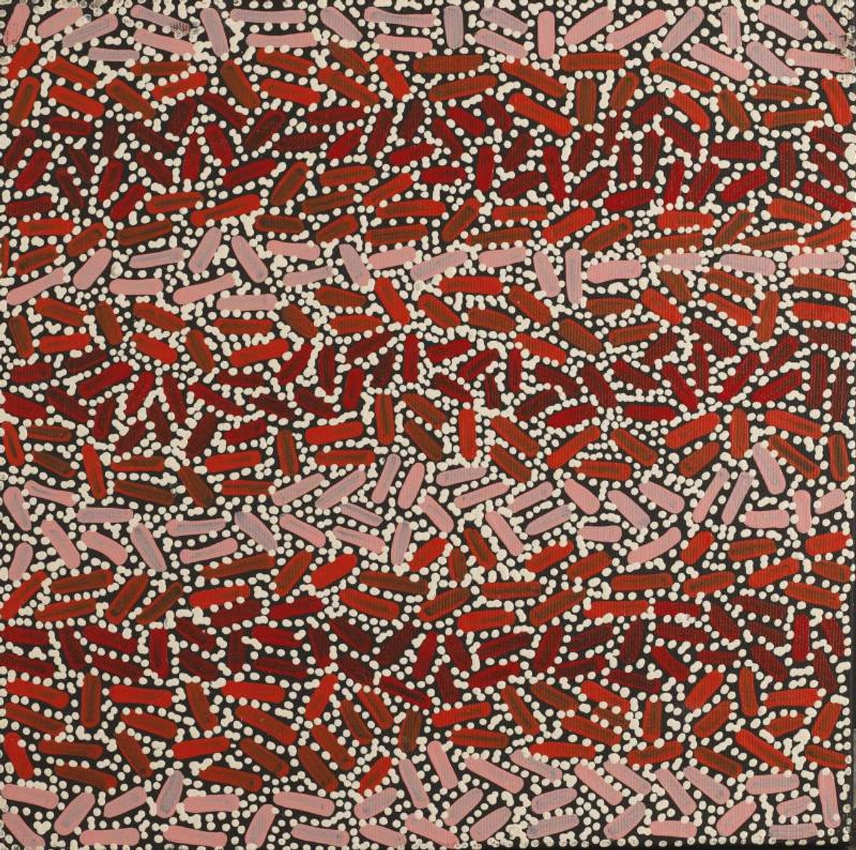 Warlukurlangu Jukurrpa (Fire country Dreaming)