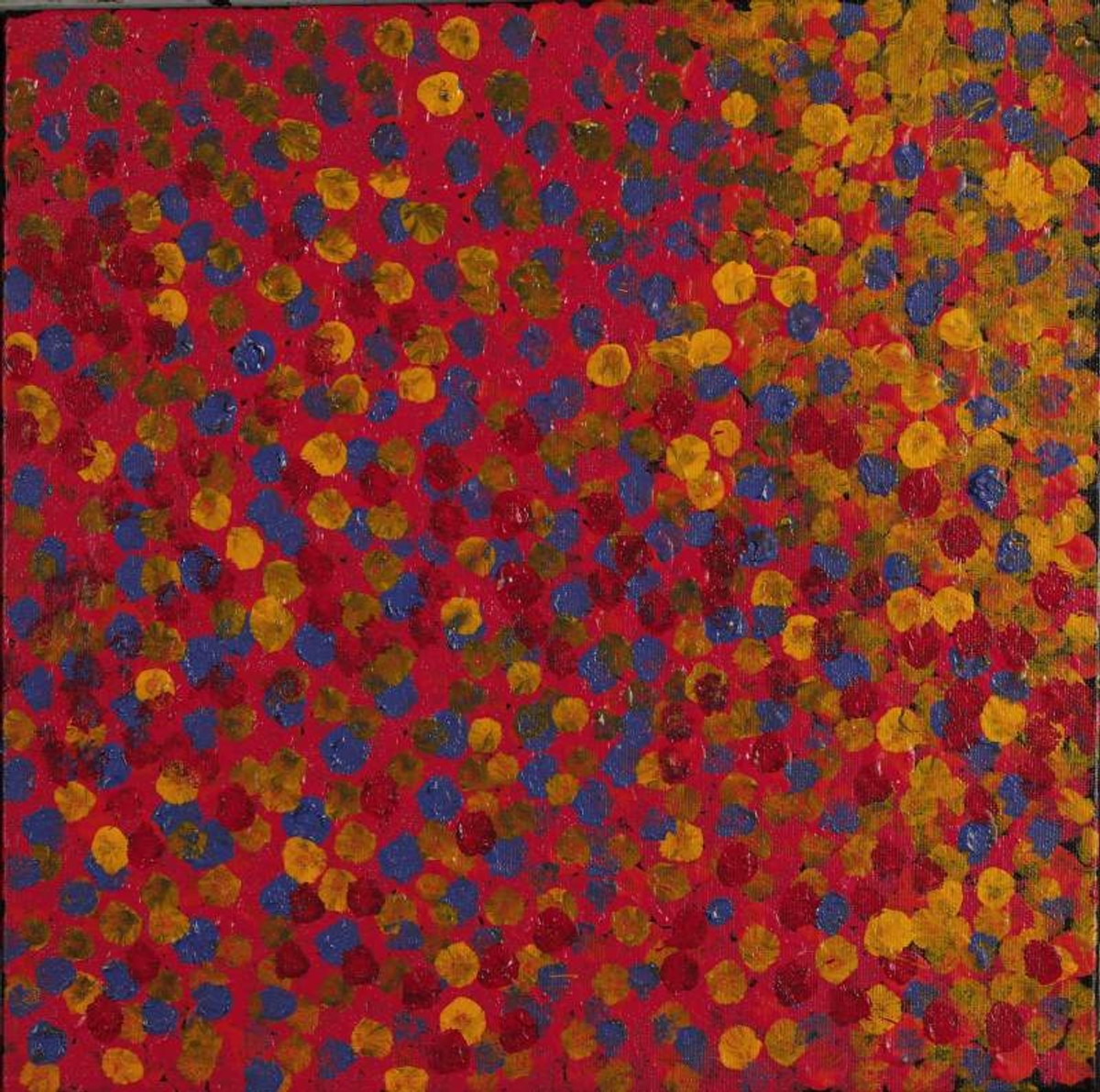 Wardapi Jukurrpa (Goanna Dreaming) - Yarripilangu