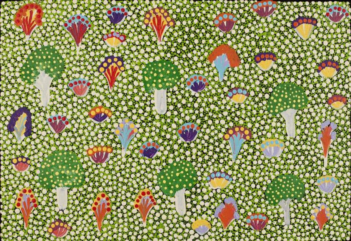 Nguru Yurntumu-wana (Country around Yuendumu)