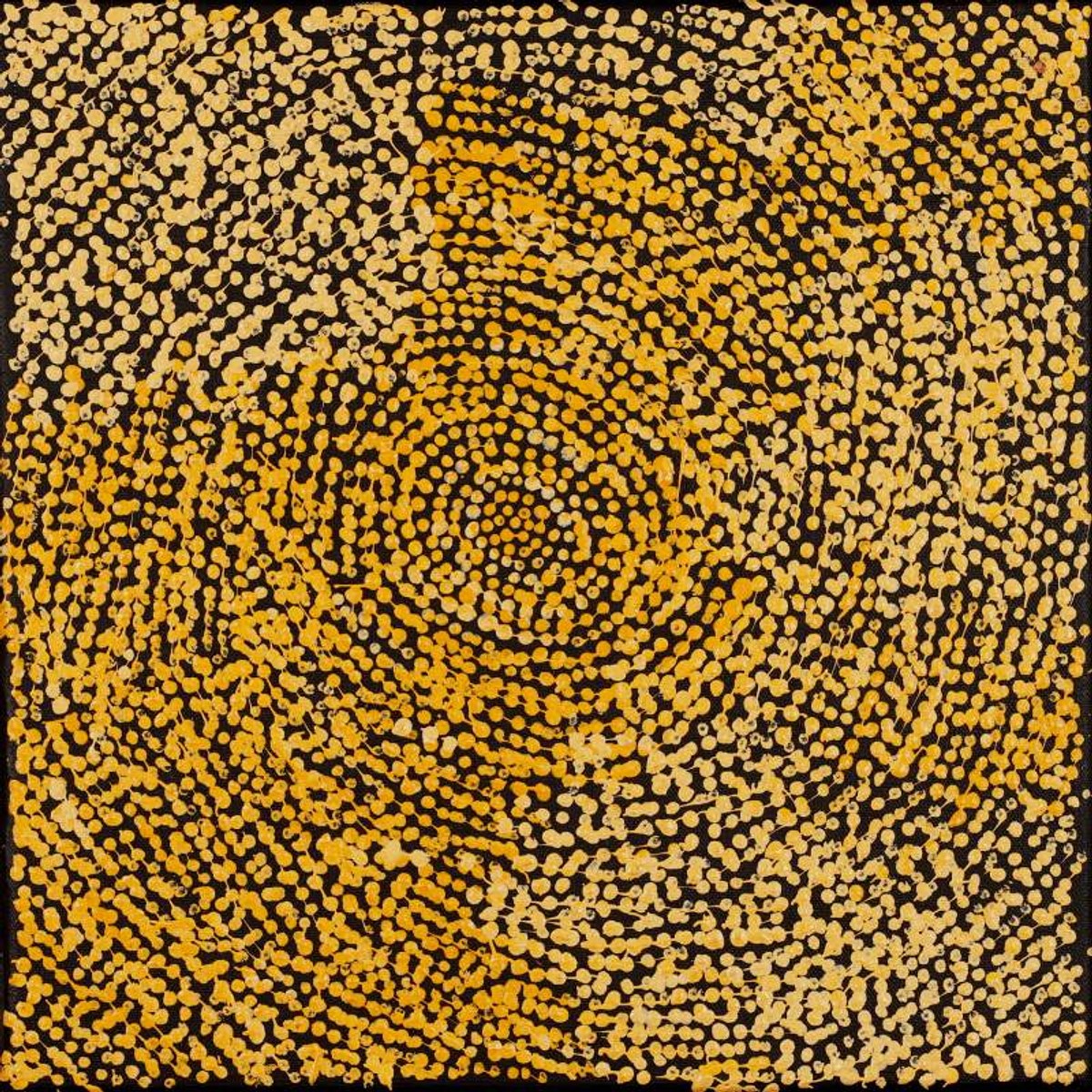 Ngapa Jukurrpa (Water Dreaming)  -  Puyurru