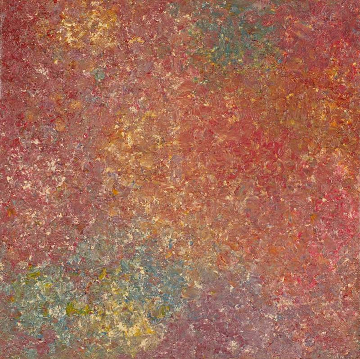 Wardapi Jukurrpa (Goanna Dreaming) - Yarripilangu