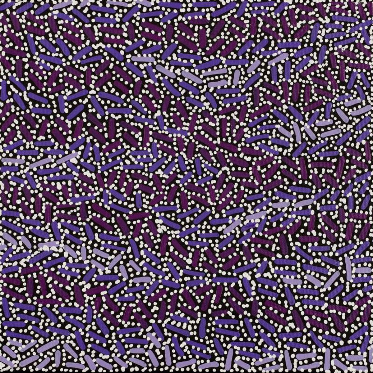 Warlukurlangu Jukurrpa (Fire country Dreaming)