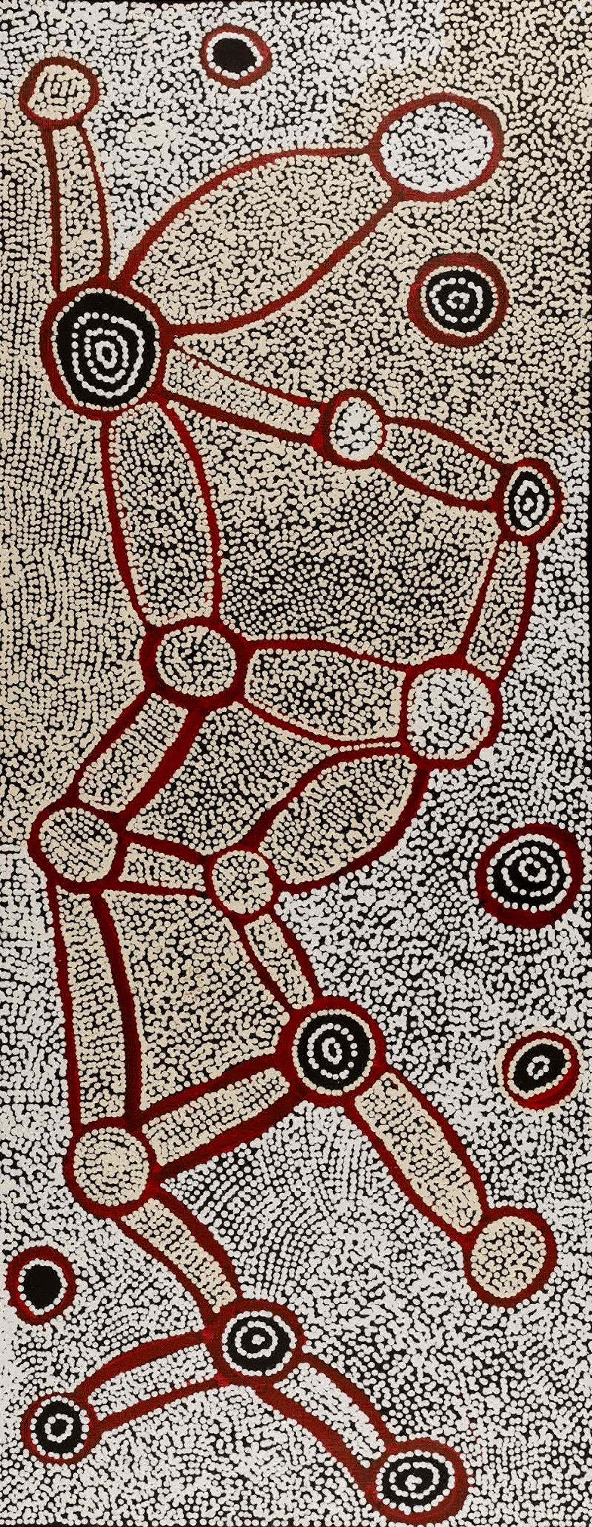 Ngapa Jukurrpa (Water Dreaming)  -  Puyurru