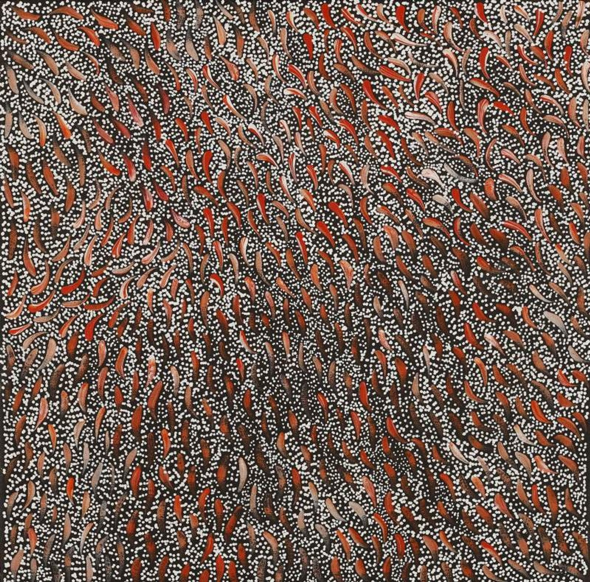 Wardapi Jukurrpa (Goanna Dreaming) - Yarripilangu
