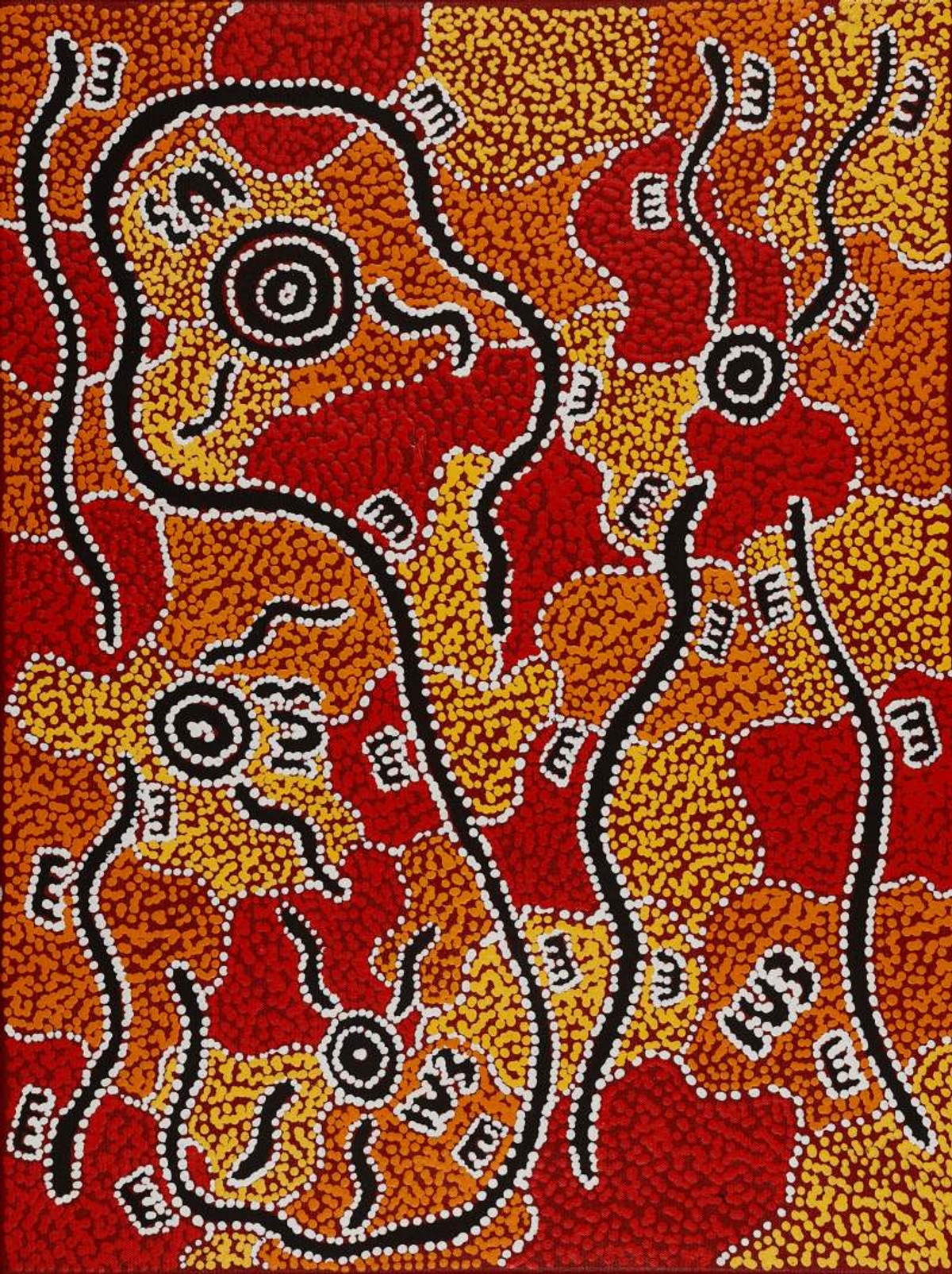 Wardapi Jukurrpa (Goanna Dreaming) - Yarripilangu