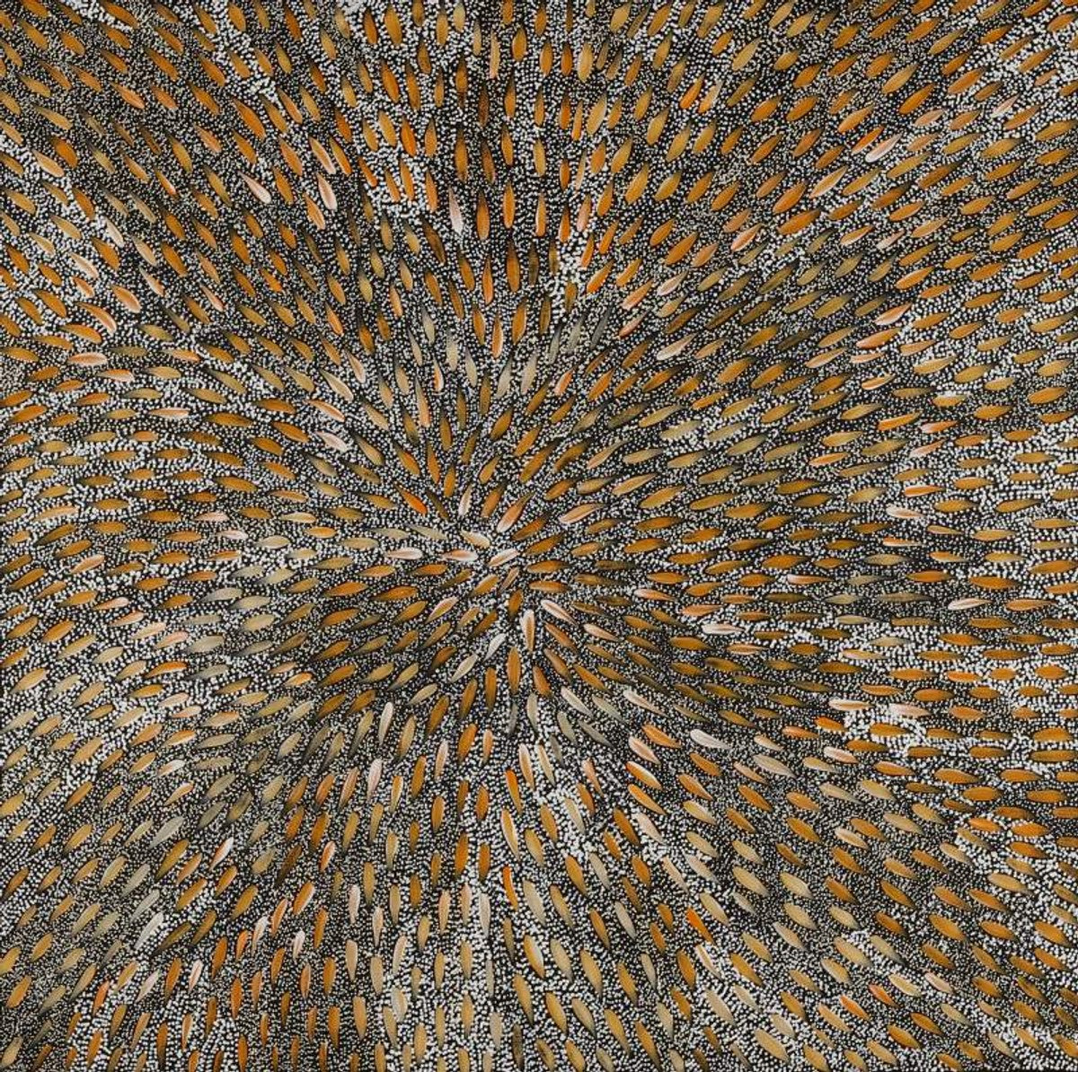 Wardapi Jukurrpa (Goanna Dreaming) - Yarripilangu