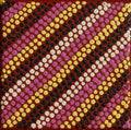 Ngurlu Jukurrpa (Native Seed Dreaming)