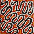 Ngapa Jukurrpa (Water Dreaming)  -  Puyurru