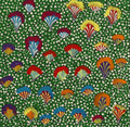 Nguru Yurntumu-wana (Country around Yuendumu)