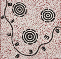Pamapardu and Janganpa Jukurrpa (flying ant and possum Dreaming)