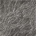 Yanjirlpirri or Napaljarri-Warnu Jukurrpa (Star or Seven Sisters Dreaming)