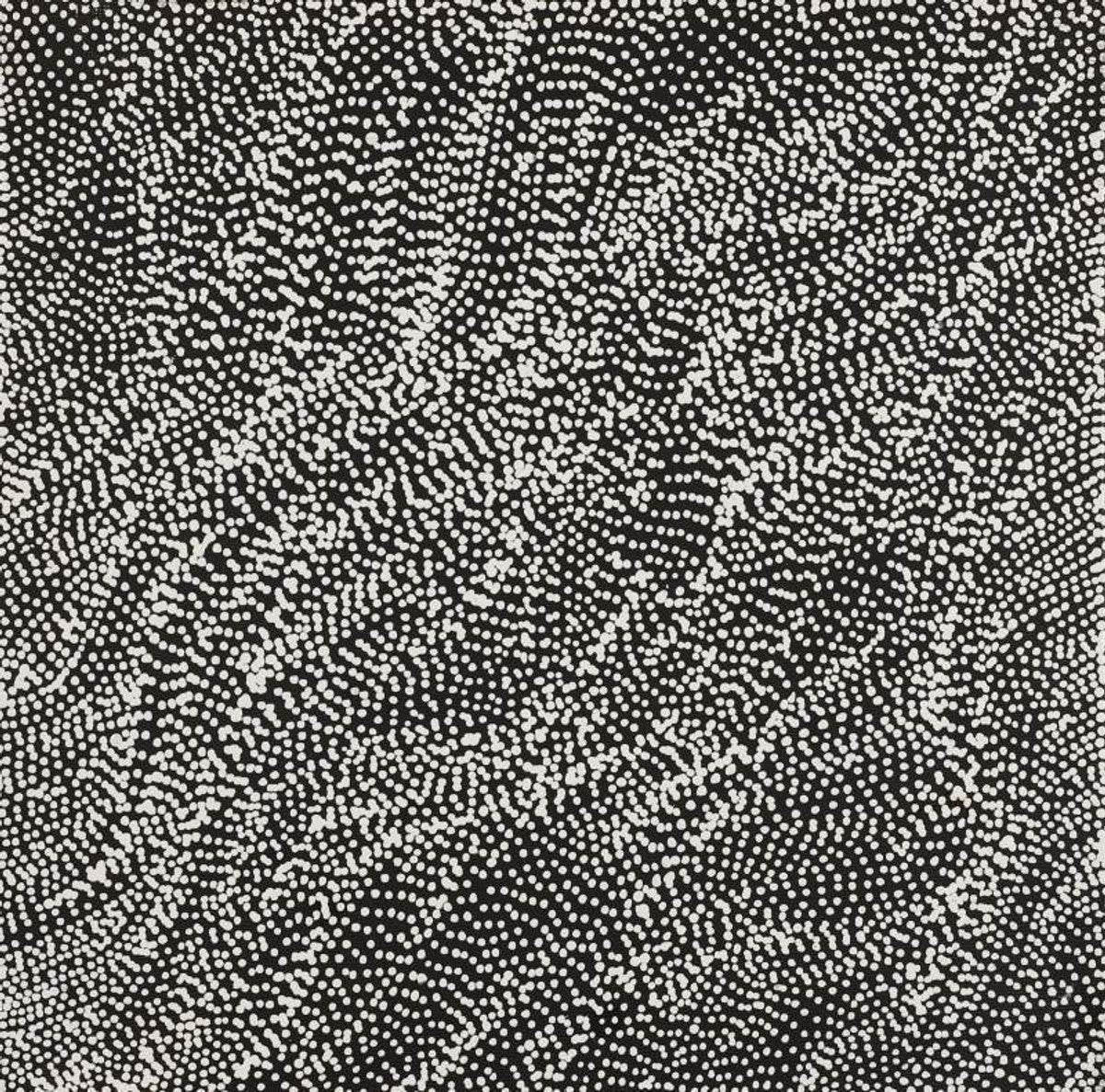 Yanjirlpirri or Napaljarri-Warnu Jukurrpa (Star or Seven Sisters Dreaming)