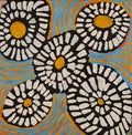Warlukurlangu Jukurrpa (Fire country Dreaming)