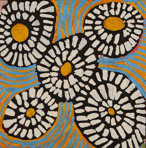 Warlukurlangu Jukurrpa (Fire country Dreaming)