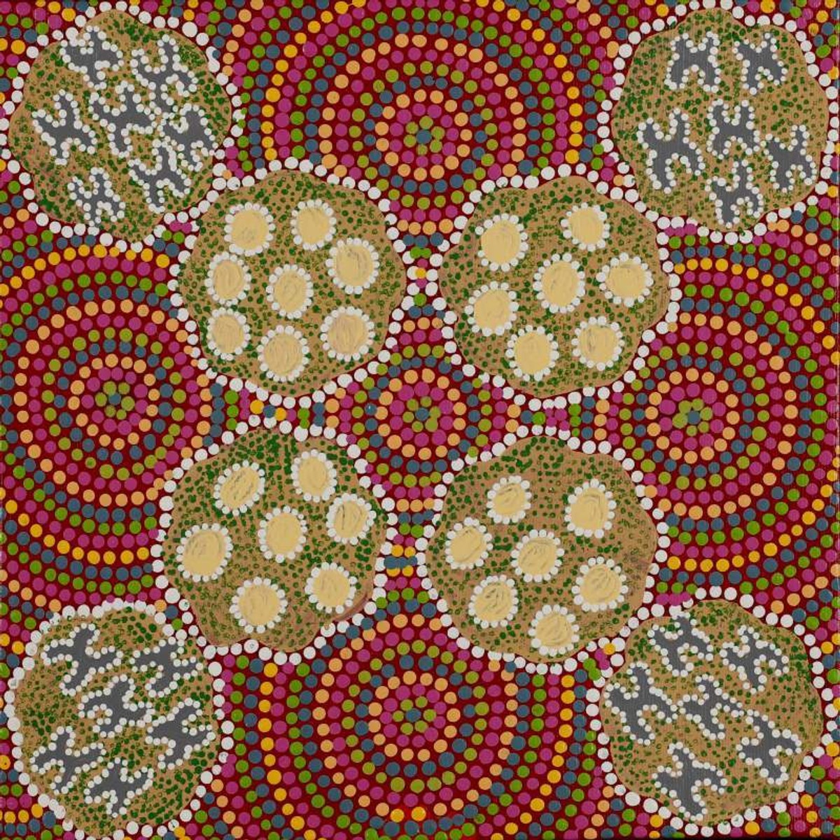 Ngatijirri Jukurrpa (Budgerigar Dreaming)