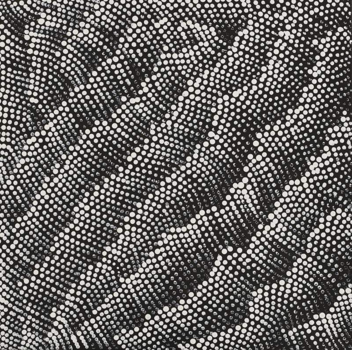 Ngalyarrpa manu Puluku Jukurrpa (Sandhill and Bullock Dreaming)