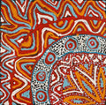 Ngapa Jukurrpa (Water Dreaming)  - Mikanji