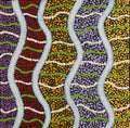 Warna Jukurrpa (Snake Dreaming)