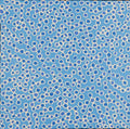 Mina Mina Jukurrpa (Mina Mina Dreaming)