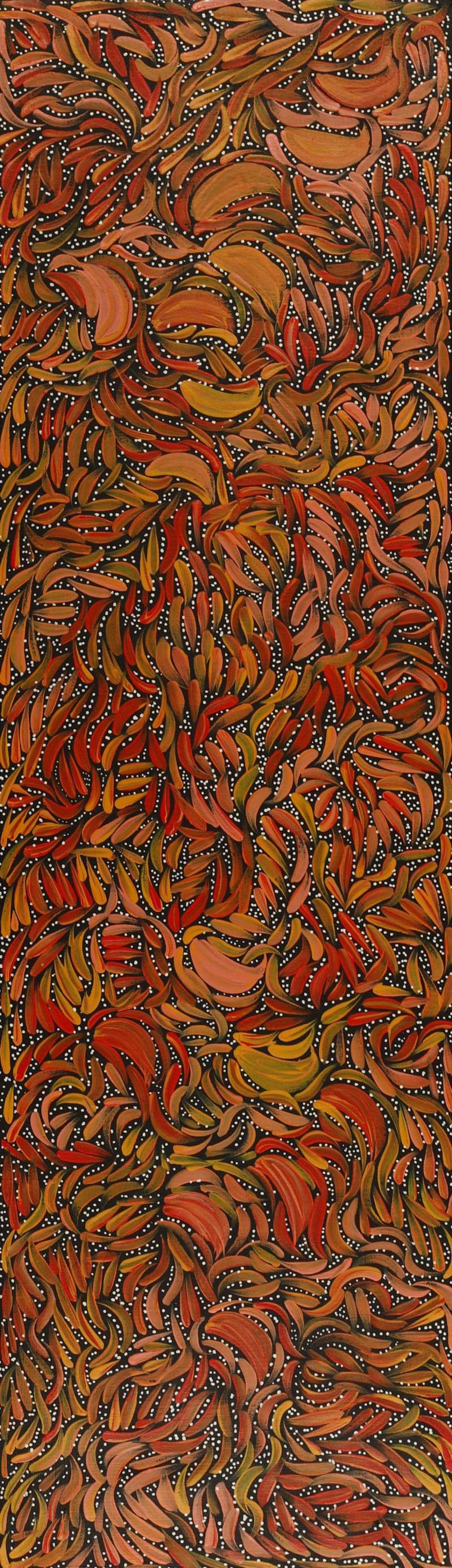 Purrpalanji (Skinny Bush Banana) Jukurrpa