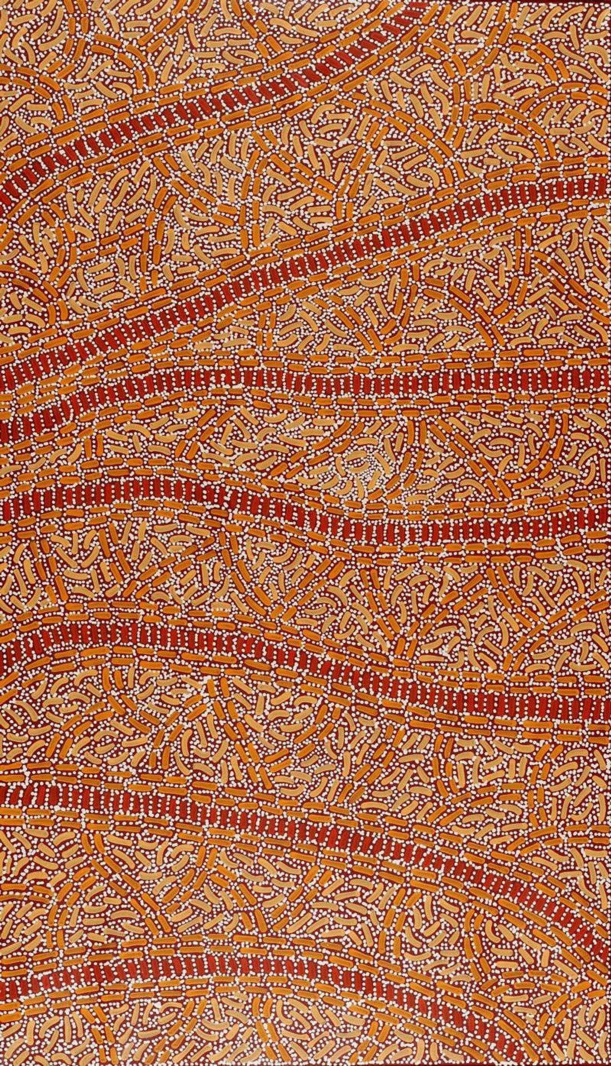 Warlukurlangu Jukurrpa (Fire country Dreaming)