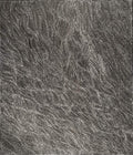 Yanjirlpirri or Napaljarri-Warnu Jukurrpa (Star or Seven Sisters Dreaming)