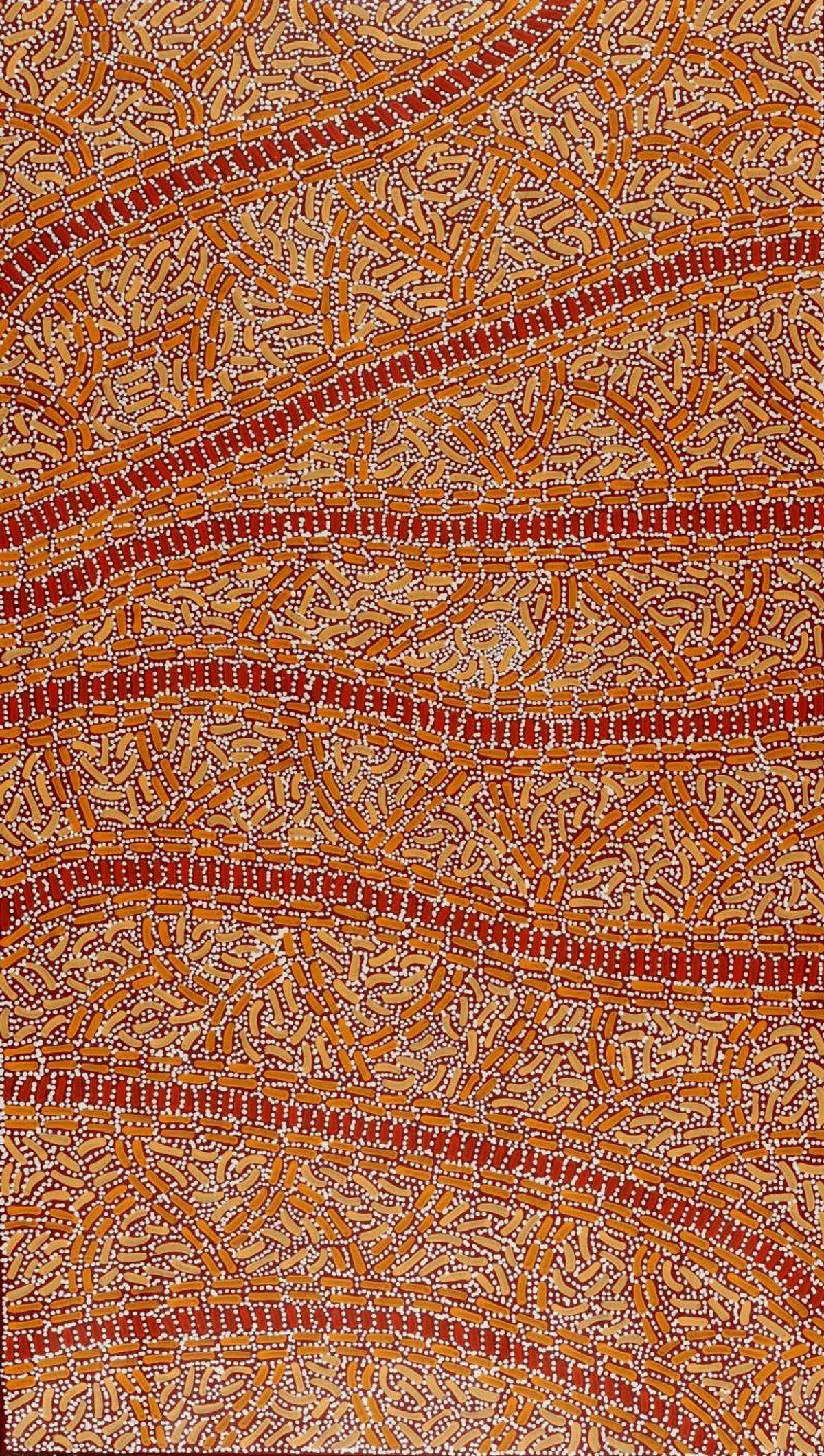 Warlukurlangu Jukurrpa (Fire country Dreaming)