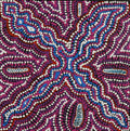 Wanakiji Jukurrpa (Bush Tomato Dreaming)