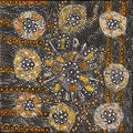 Lukarrara Jukurrpa (Desert Fringe-rush Seed Dreaming)